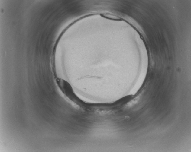 X0000079340958200612151904