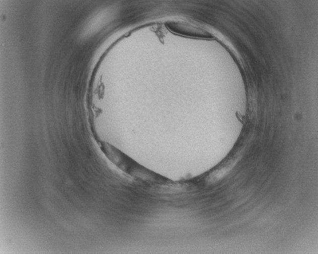 X0000079340959200612151904