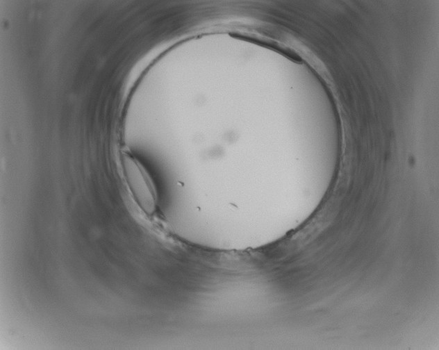 X0000079340960200612151904