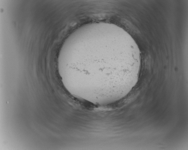 X0000079340961200612151904