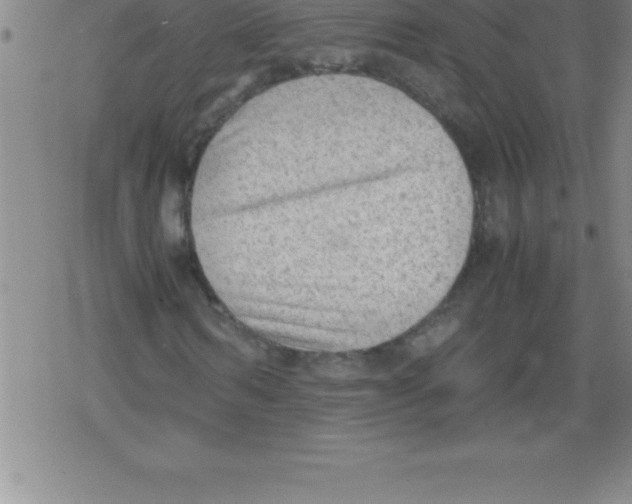 X0000079340962200612151904