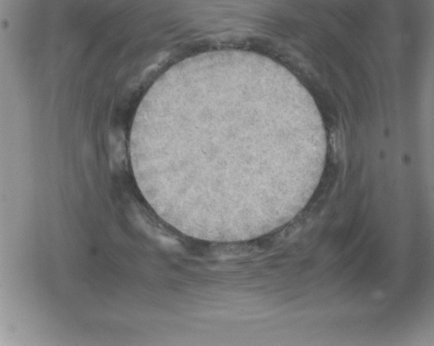 X0000079340963200612151904