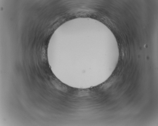 X0000079340964200612151904