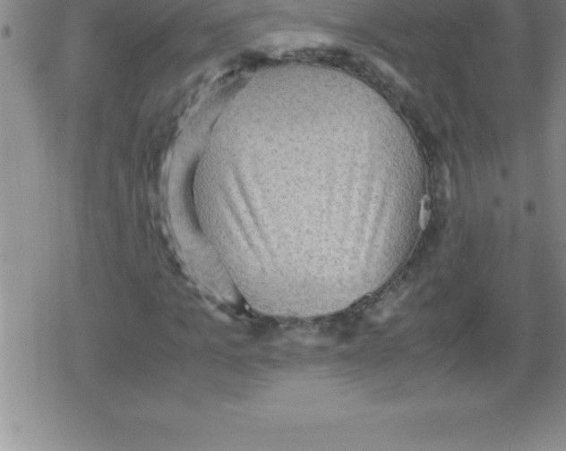 X0000079340965200612151904