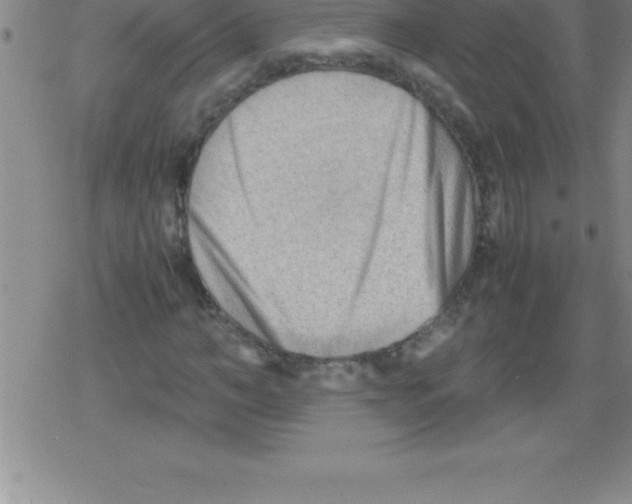 X0000079340966200612151904