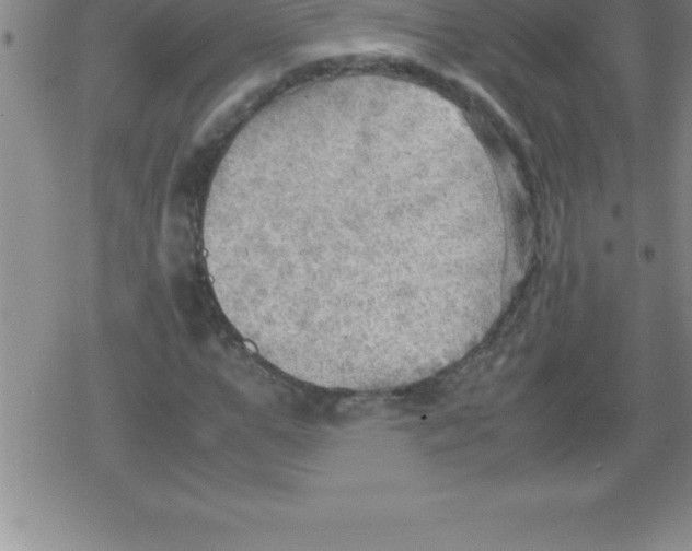 X0000079340967200612151904