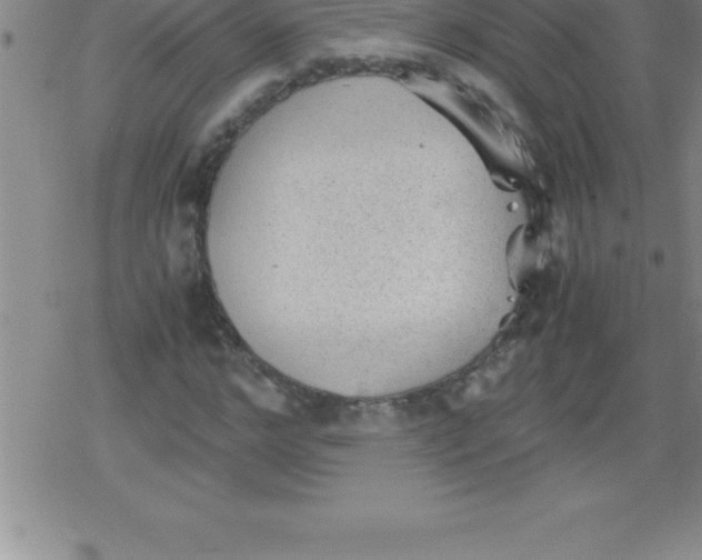 X0000079340968200612151904