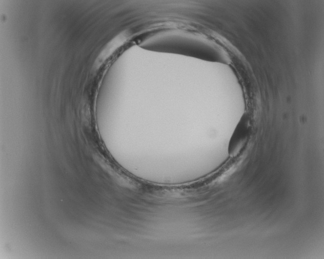 X0000079340969200612151904