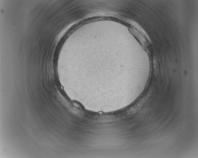 X0000079340972200612151903