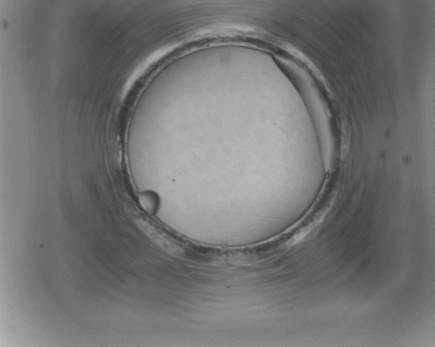 X0000079340973200612151903