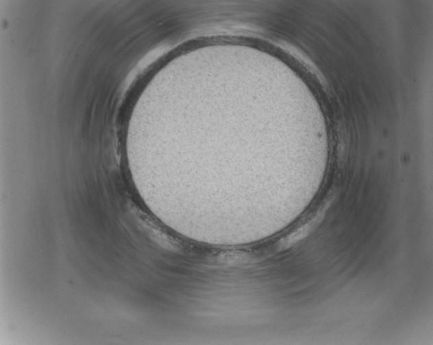 X0000079340974200612151903