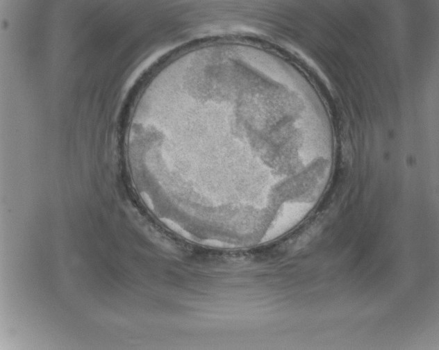 X0000079340975200612151903