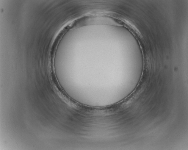 X0000079340976200612151903