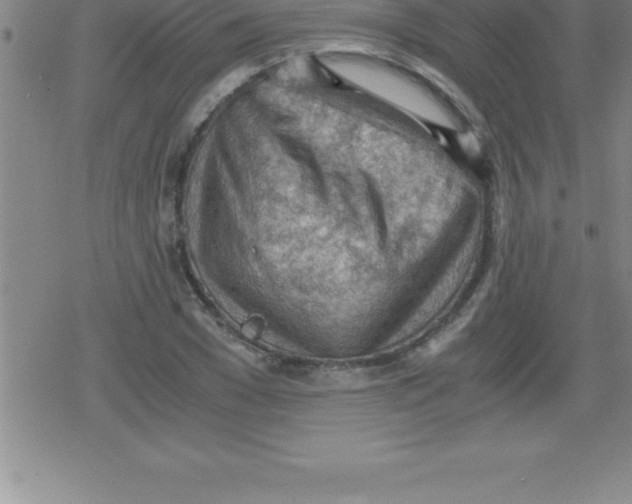 X0000079340977200612151903