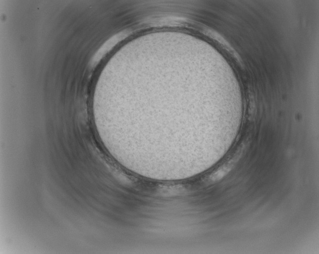 X0000079340978200612151903