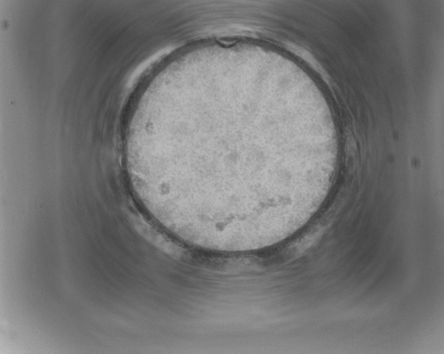 X0000079340979200612151903