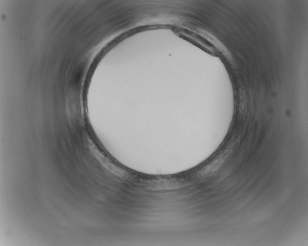 X0000079340980200612151903