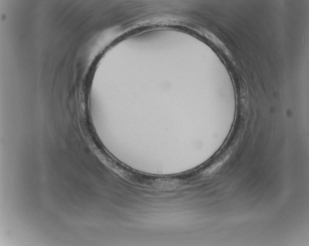 X0000079340981200612151903