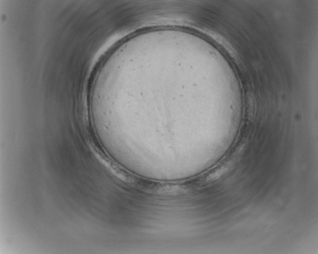 X0000079340982200612151903