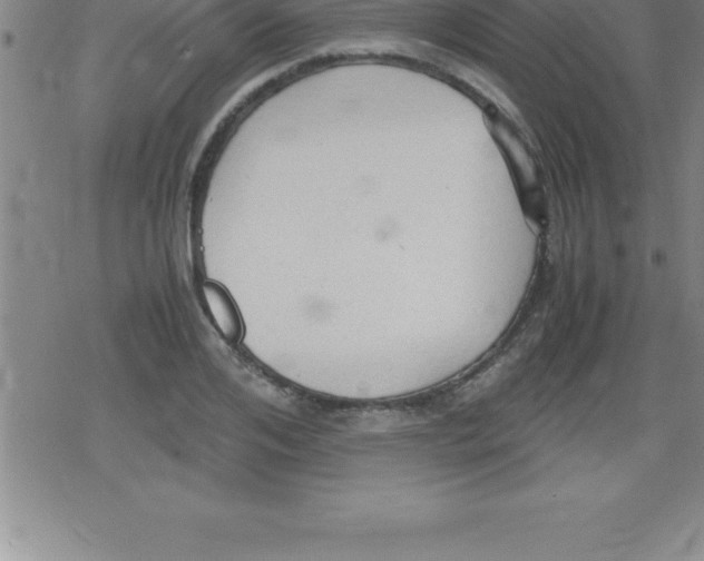 X0000079340984200612151903