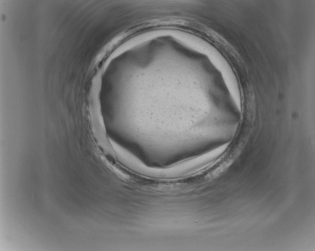 X0000079340985200612151903