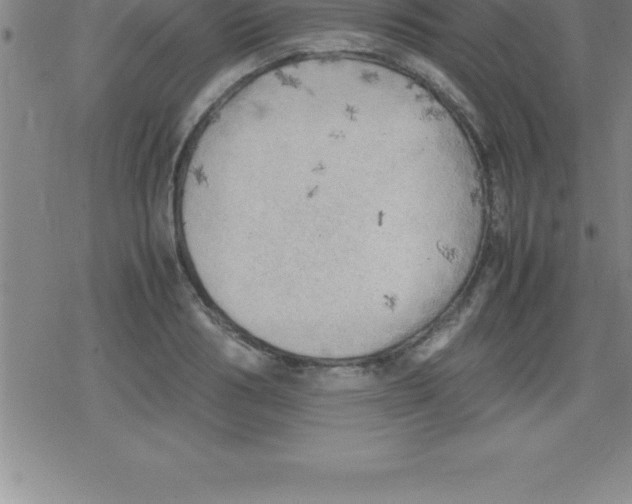 X0000079340986200612151903