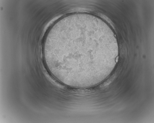 X0000079340987200612151903