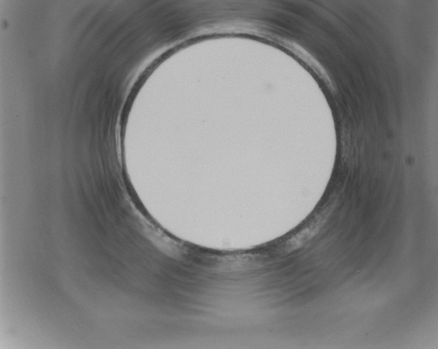 X0000079340988200612151903