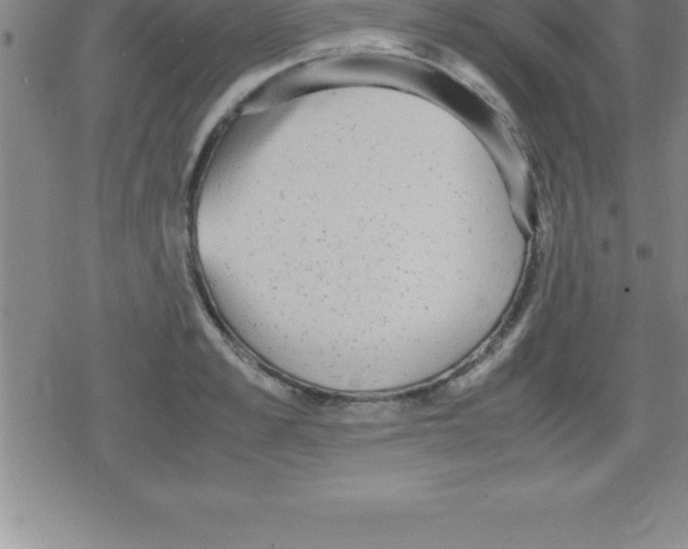 X0000079340989200612151903