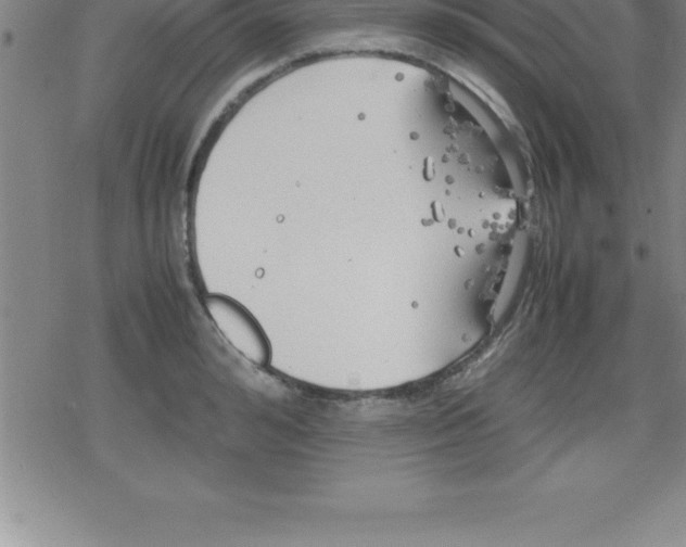 X0000079340992200612151903