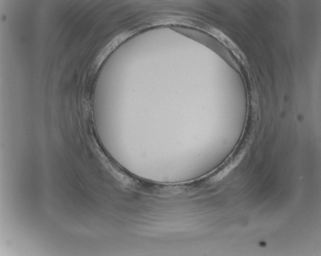 X0000079340993200612151903