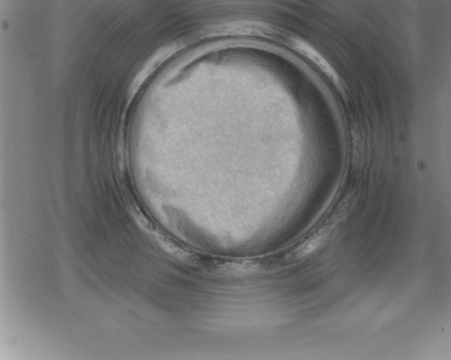 X0000079340994200612151903