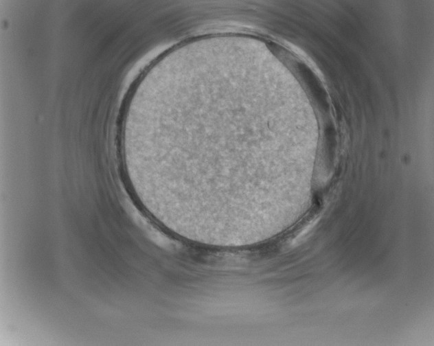 X0000079340995200612151903