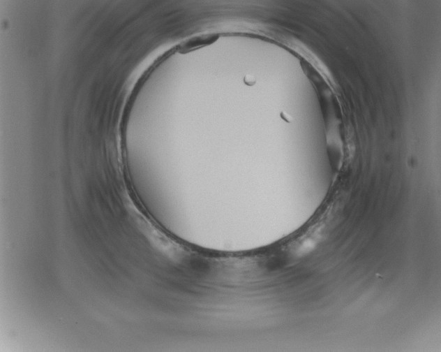 X0000079340996200612151903