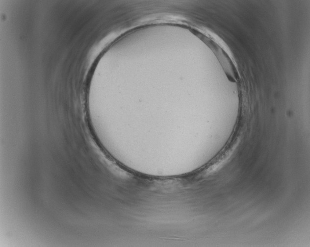 X0000079340997200612151903