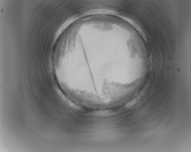 X0000079340998200612151903