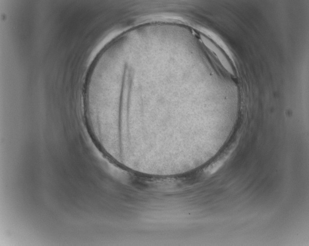 X0000079340999200612151903