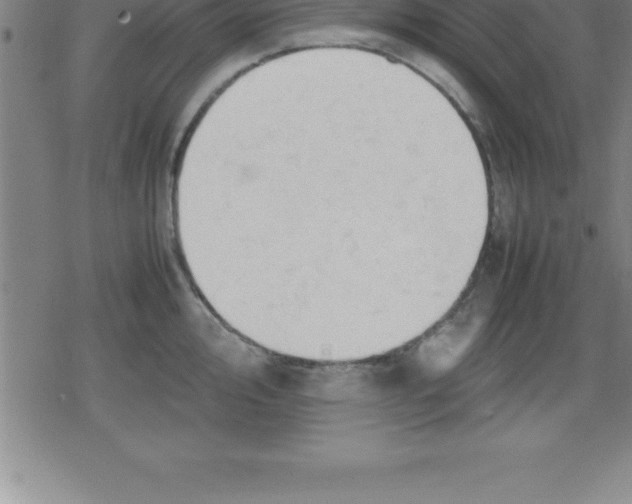 X0000079341000200612151903