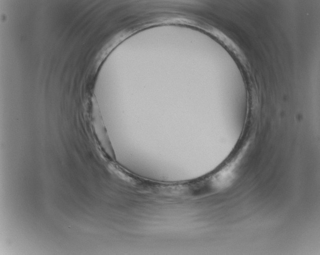 X0000079341001200612151903