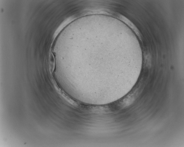 X0000079341002200612151903