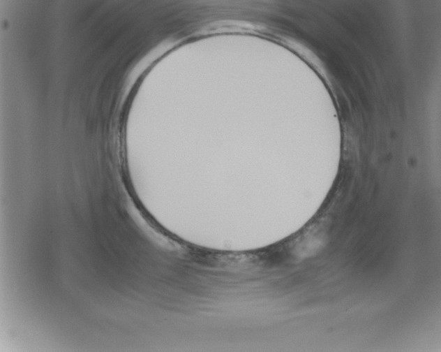 X0000079341003200612151903