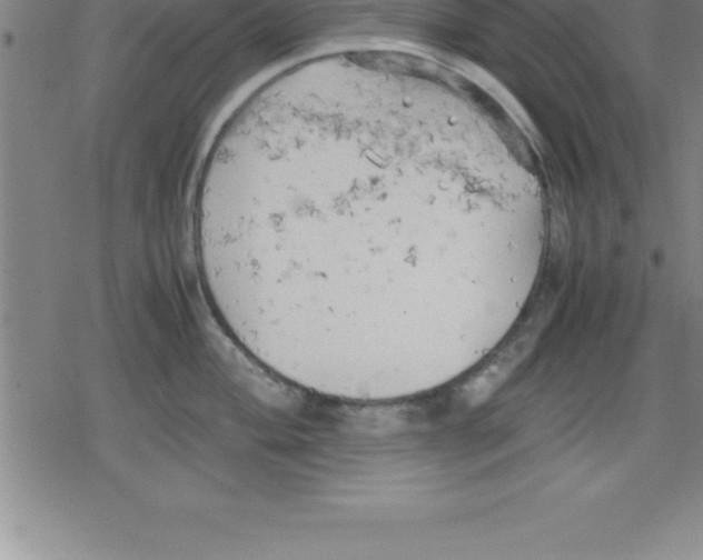 X0000079341004200612151903