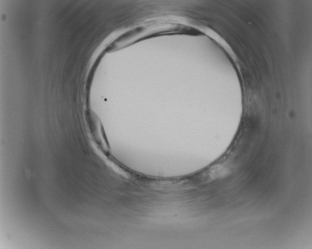 X0000079341005200612151903