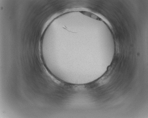 X0000079341006200612151903