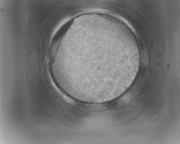 X0000079341007200612151903