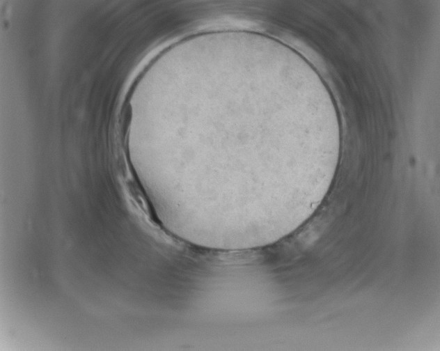 X0000079341008200612151903