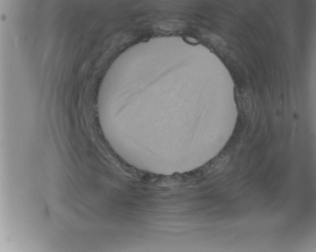 X0000079341009200612151902