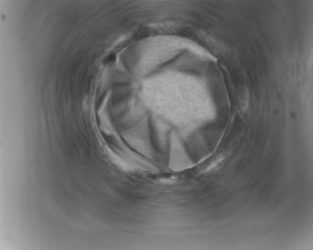 X0000079341010200612151902