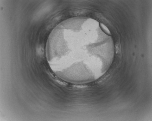 X0000079341011200612151902