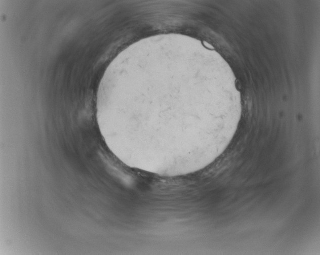 X0000079341012200612151902